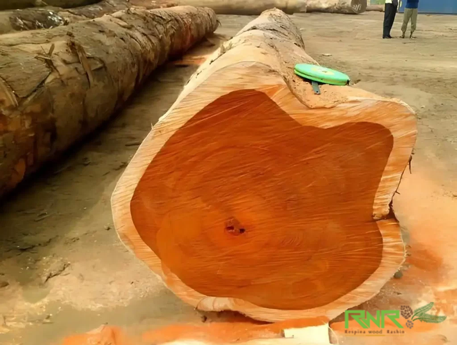 چوب ساج یکی از چوب های مورد استفاده در فضای باز