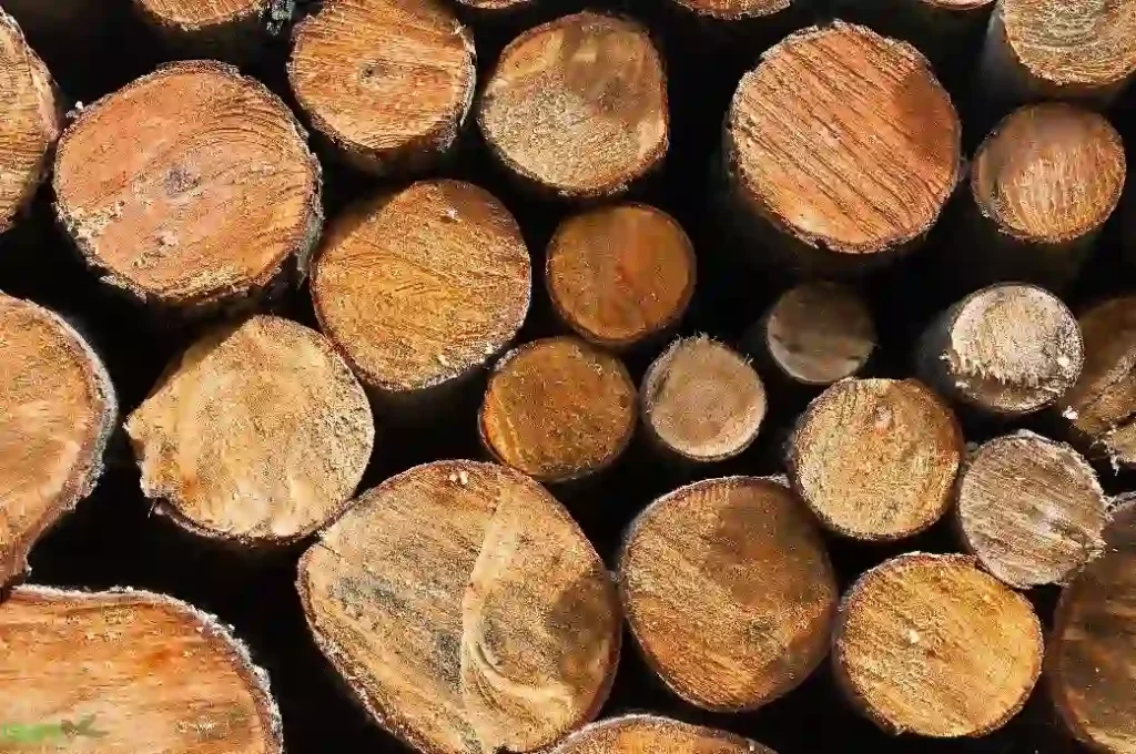 چوب طبیعی